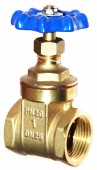 Venus Gate Valve