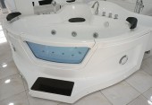 Bente Massage Jacuzzi Tub with Glass Front & Step Access